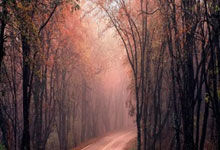 米兰体育：[中超]武磊打破中超单赛季进球纪录.