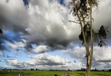 U22国足战平乌兹别克斯坦队.