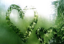 米兰体育：这是外援？奥莫特出战18分钟6投2中得到7分4篮板，6犯离场.